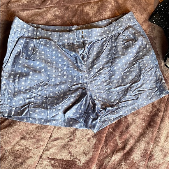J. Crew Pants - J. Crew Light Blue Polka Dot Women's Shorts